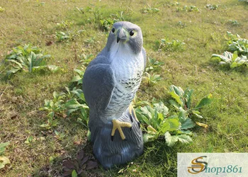 Hunting Birds Decoys Falcon Bird Scare Motionless Garden Plastic Pest Control Care Deter Scarer Defenders Standing Hawk Decoys
Hunting Birds Decoys Falcon Bird Scare Motionless Garden Plastic Pest Control Care Deter Scarer Defenders Standing Hawk Decoys