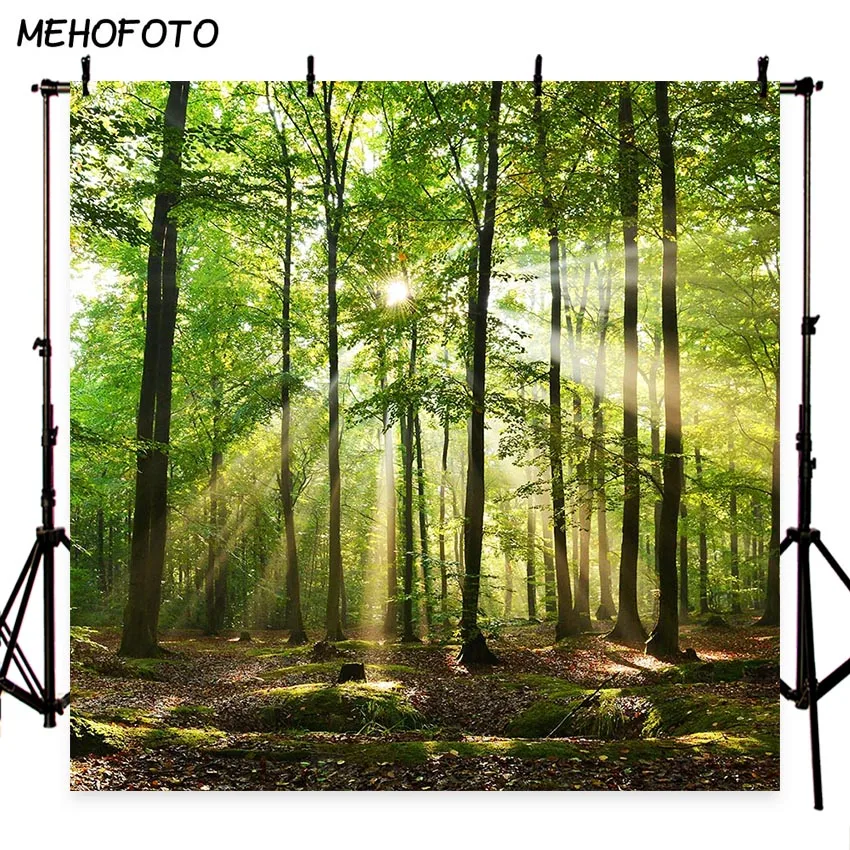 Green Screen Photography Backdrop silent forest spring season Decor Customized Outdoor Photo Background Studio Prop Deco
Green Screen Photography Backdrop silent forest spring season Decor Customized Outdoor Photo Background Studio Prop Deco