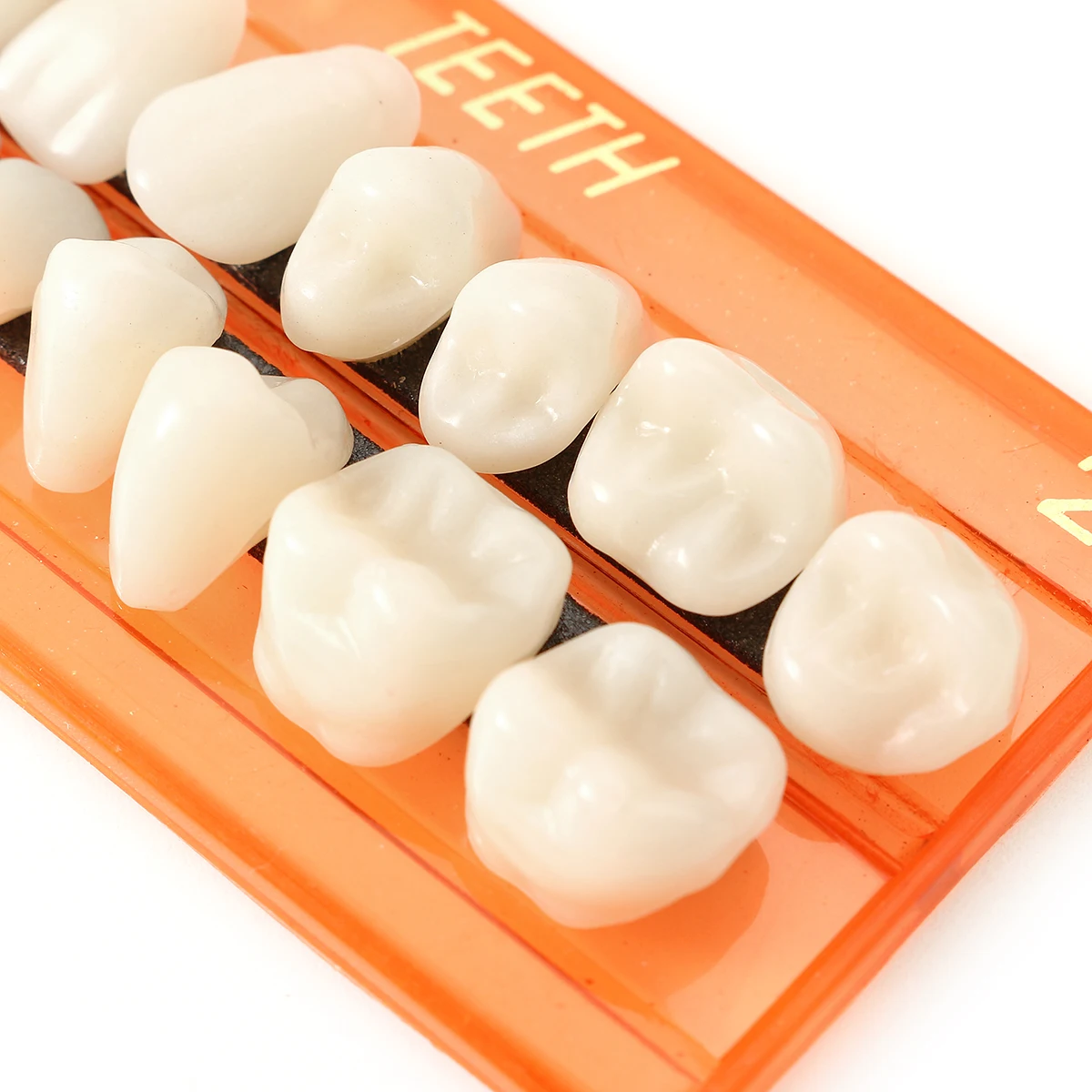 28 PCS Acrylic Resin Denture Dental Teeth Full Upper Lower Shade Oral