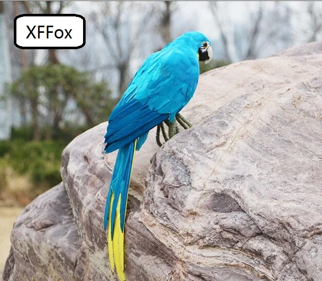 big real life little wings parrot mddel foam&feather simulation blue&yellow parrot bird gift about 45cm xf0194
big real life little wings parrot mddel foam&feather simulation blue&yellow parrot bird gift about 45cm xf0194