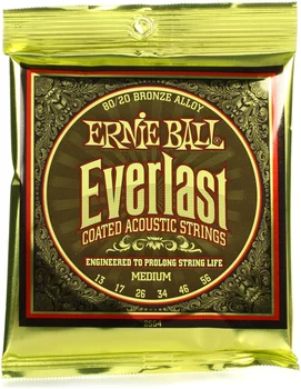 Ernie Ball 2556 Ever-last 80/20 Bronze Medium Light Acoustic Guitar Strings 010-054
Ernie Ball 2556 Ever-last 80/20 Bronze Medium Light Acoustic Guitar Strings 010-054