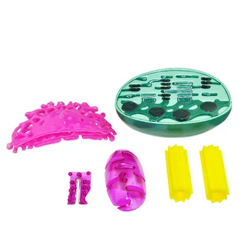 Organelle Structural Model Chloroplast Centrosome Mitochondrion Plant Cell Submicroscopic Structure Model Biologic Teaching Aids
Organelle Structural Model Chloroplast Centrosome Mitochondrion Plant Cell Submicroscopic Structure Model Biologic Teaching Aids