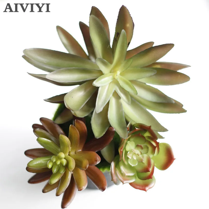 Star Cactus Aloe Echeveria Elegance Artificial Succulent Plant Plastic Flower Decoration Green Plant Background Free Shipping
Star Cactus Aloe Echeveria Elegance Artificial Succulent Plant Plastic Flower Decoration Green Plant Background Free Shipping