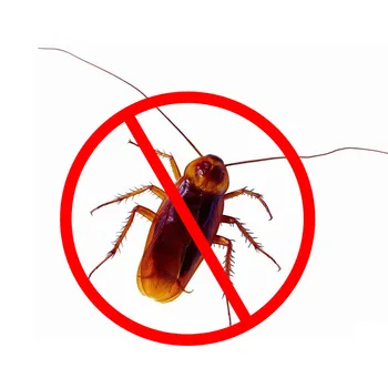 2x 10g Cockroach Kill Roach Bait Gel Poison Syringe Professional Commercial Pest Control
2x 10g Cockroach Kill Roach Bait Gel Poison Syringe Professional Commercial Pest Control