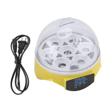 Mini 7 Egg Incubator For Eggs Broedmachine Chicken Duck Quail Hatcher Birds Electronic Display Thermostat Egg Incubator a
Mini 7 Egg Incubator For Eggs Broedmachine Chicken Duck Quail Hatcher Birds Electronic Display Thermostat Egg Incubator a