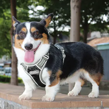 Dog Harness Adjustable No-Pull Reflective Nylon Dog Leash Chest Strap Vest Padded for Medium Large Dogs 5
Dog Harness Adjustable No-Pull Reflective Nylon Dog Leash Chest Strap Vest Padded for Medium Large Dogs 5