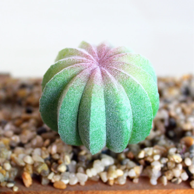 1*Artifical Plastic Succulent Plant Cactus Flower Home Office Decor Gift Grass Plant For Desk Present Accessories
1*Artifical Plastic Succulent Plant Cactus Flower Home Office Decor Gift Grass Plant For Desk Present Accessories