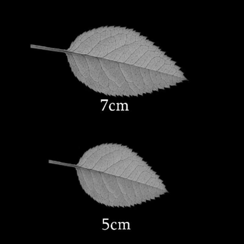 HamyHo Metal Steel Cutting Die 2pcs Leaves Frame Stencil for DIY Scrapbooking Paper Album Card Embossing Stencil Crafts
HamyHo Metal Steel Cutting Die 2pcs Leaves Frame Stencil for DIY Scrapbooking Paper Album Card Embossing Stencil Crafts