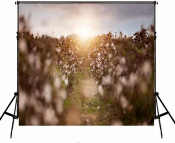Cotton Flower Field Bokeh Backgrounds for sale Vinyl cloth High quality Computer print children kids photo backdrop
Cotton Flower Field Bokeh Backgrounds for sale Vinyl cloth High quality Computer print children kids photo backdrop