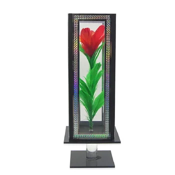 Clarity Box To Flower feather flower from empty box magic Stage magic tricks magic props
Clarity Box To Flower feather flower from empty box magic Stage magic tricks magic props