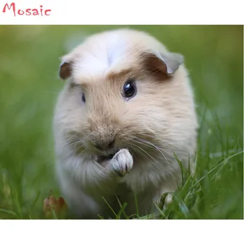 3D Full Resin Square Diamond Painting 5D Diamond embroidery Guinea pig animal Needlework Mosaic Cross Stitch Home Decoration
3D Full Resin Square Diamond Painting 5D Diamond embroidery Guinea pig animal Needlework Mosaic Cross Stitch Home Decoration