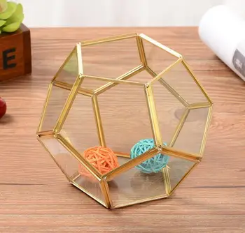 New Glass Geometric Terrarium Box Tabletop Succulent Plant Planter Case Home Decor Gift Wedding Supply Garden Bottles Terrariums
New Glass Geometric Terrarium Box Tabletop Succulent Plant Planter Case Home Decor Gift Wedding Supply Garden Bottles Terrariums