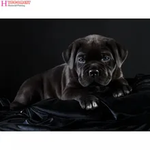 Comparar Precios En Cane Corso Perro Online Shopping Comprar