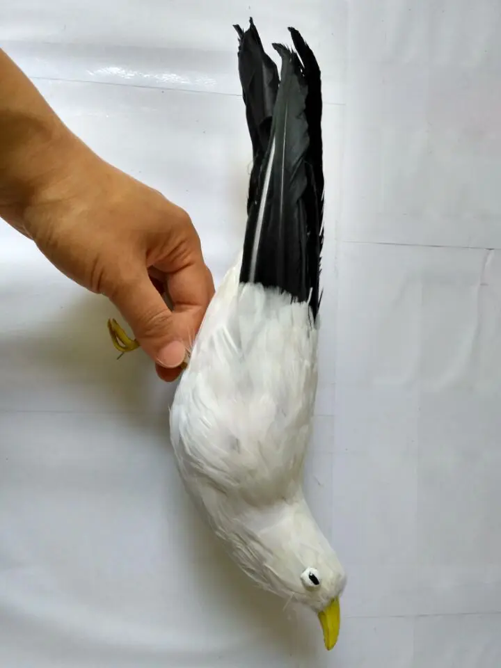 Фото new simulation seagull model polyethylene & furs dead doll gift about 30cm 1238 | Игрушки и хобби