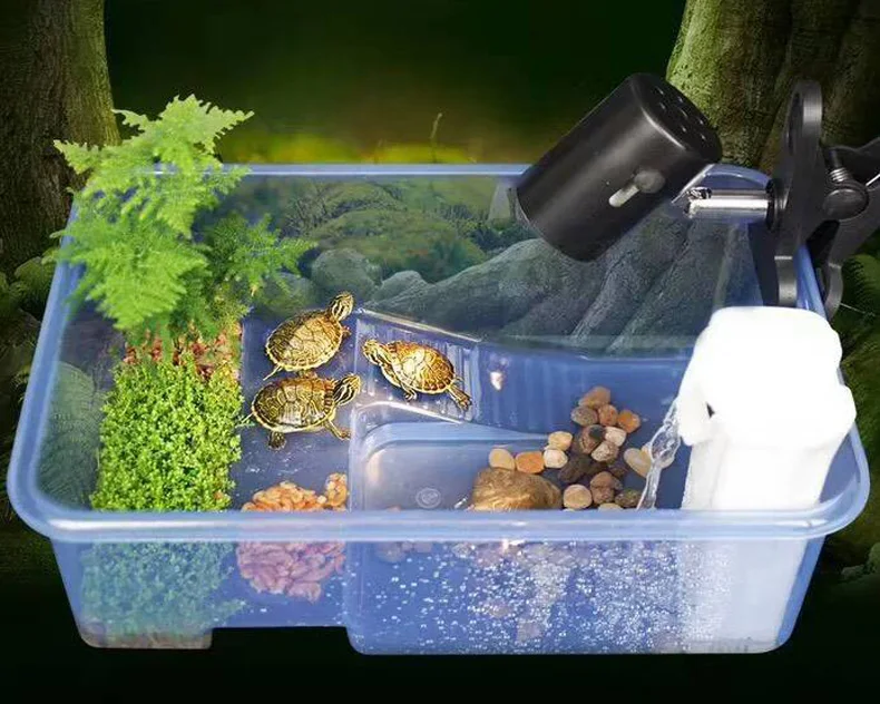 Turtle fairyland Pier Topper Basking Platform steps feed box room UV light low water filter 3 in 1 aquarium fish tank
Turtle fairyland Pier Topper Basking Platform steps feed box room UV light low water filter 3 in 1 aquarium fish tank