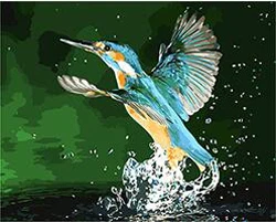 MaHuaf-W631 Hummingbird Framed DIY Painting By Numbers Modern Wall Art Picture Handpainted For Home Decor
MaHuaf-W631 Hummingbird Framed DIY Painting By Numbers Modern Wall Art Picture Handpainted For Home Decor