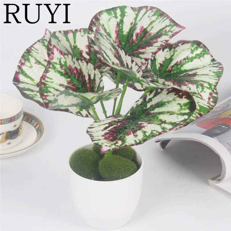 9 Heads artificial purple dot begonia leaves plastic simulation fake plant wedding Christmas decoration for home office decor
9 Heads artificial purple dot begonia leaves plastic simulation fake plant wedding Christmas decoration for home office decor