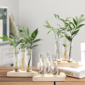 Nordic Style Tube Glass Vase with Wood Base Hydroponic Vase Elegant Tabletop Vase for Water Planting Flower Terrarium Container
Nordic Style Tube Glass Vase with Wood Base Hydroponic Vase Elegant Tabletop Vase for Water Planting Flower Terrarium Container