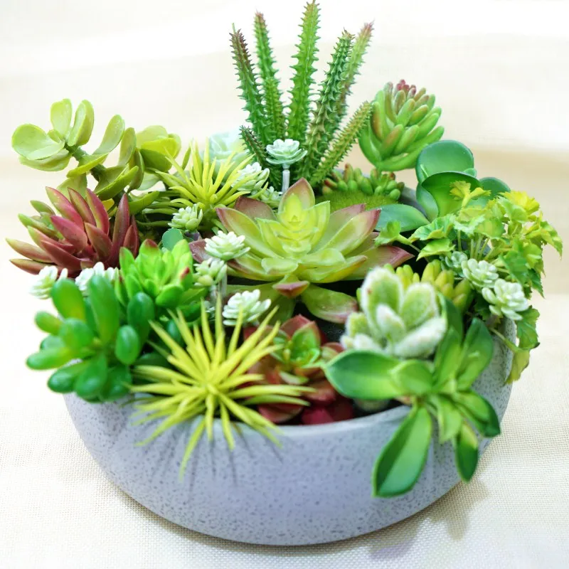 Realistic Fake Succulents Green Plastic Home Garden Faux Artificial Succulent Cactus Plants Wall Decor Decorative Diy Mini Stems
Realistic Fake Succulents Green Plastic Home Garden Faux Artificial Succulent Cactus Plants Wall Decor Decorative Diy Mini Stems