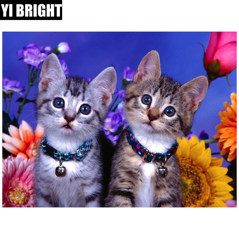 3d DIY Full Square/Round diamond painting"two cat" diamond embroidery sale stitch kit Diamond Mosaic home living XPZ
3d DIY Full Square/Round diamond painting"two cat" diamond embroidery sale stitch kit Diamond Mosaic home living XPZ