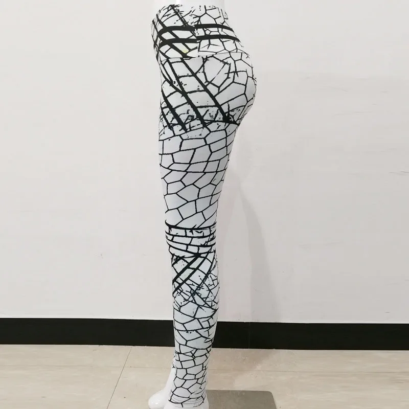10271367411_1595654483