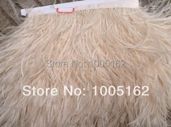 Free Shipping 5 Yards/lot Height 5-6inch Ivory Ostrich Feather fringe Ostrich feather Trimming Feather fringe
Free Shipping 5 Yards/lot Height 5-6inch Ivory Ostrich Feather fringe Ostrich feather Trimming Feather fringe