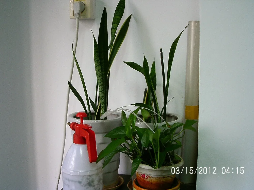 in house