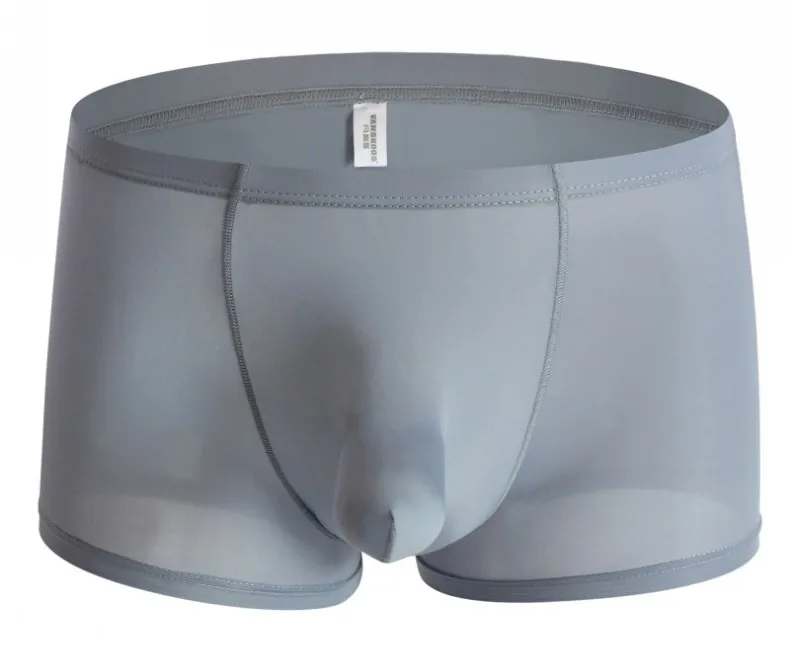 Mens See Through Underwear Thin Boxers Ice Silk Sexy Cuecas homme Elephant Nose Underpants Panties Shorts Trunks Male Boxers
Mens See Through Underwear Thin Boxers Ice Silk Sexy Cuecas homme Elephant Nose Underpants Panties Shorts Trunks Male Boxers