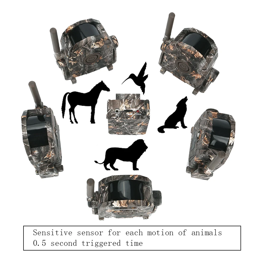360 degree Bestguarder SY007 Wireless Hunting Trap Alarm House Security Protect Alarm Wildlife Motion Trap
360 degree Bestguarder SY007 Wireless Hunting Trap Alarm House Security Protect Alarm Wildlife Motion Trap
