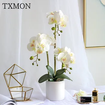 High-grade simulation Phalaenopsis flower living room decoration display TV cabinet decoration coffee table ornament fake flower
High-grade simulation Phalaenopsis flower living room decoration display TV cabinet decoration coffee table ornament fake flower