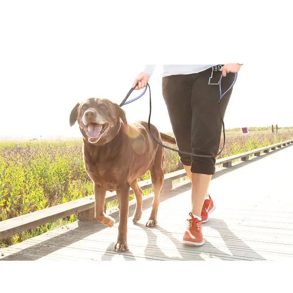 Heavy Dog Leash 188CM Dog Collar Padded Traffic Handle Extra Control Nylon Dog Leash Safety Training Double Handles Lead for Dog
Heavy Dog Leash 188CM Dog Collar Padded Traffic Handle Extra Control Nylon Dog Leash Safety Training Double Handles Lead for Dog
