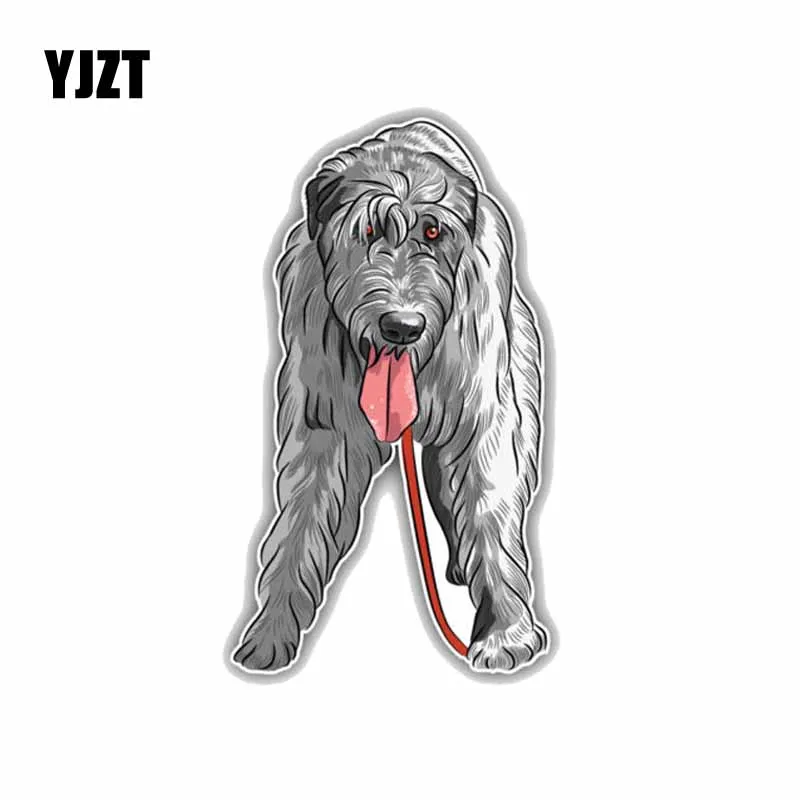 YJZT 8.2*13.7CM Irish Wolfhound Dog Car Bumper Window Decoration Car Sticker C1-4223
YJZT 8.2*13.7CM Irish Wolfhound Dog Car Bumper Window Decoration Car Sticker C1-4223
