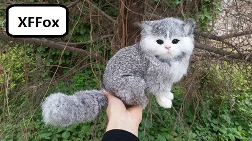 Симпатичная серая модель кошки реальной жизни, пластиковая и пушистая Сидящая кошка, кукла, подарок около 18x12x16 см xf1347
Симпатичная серая модель кошки реальной жизни, пластиковая и пушистая Сидящая кошка, кукла, подарок около 18x12x16 см xf1347