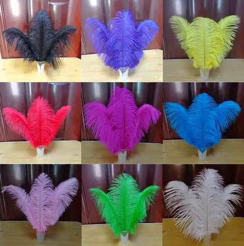 Wholesale ! 100 PCS beautiful 12 - 14 inches of Mixed color wedding feather ostrich feathers
Wholesale ! 100 PCS beautiful 12 - 14 inches of Mixed color wedding feather ostrich feathers