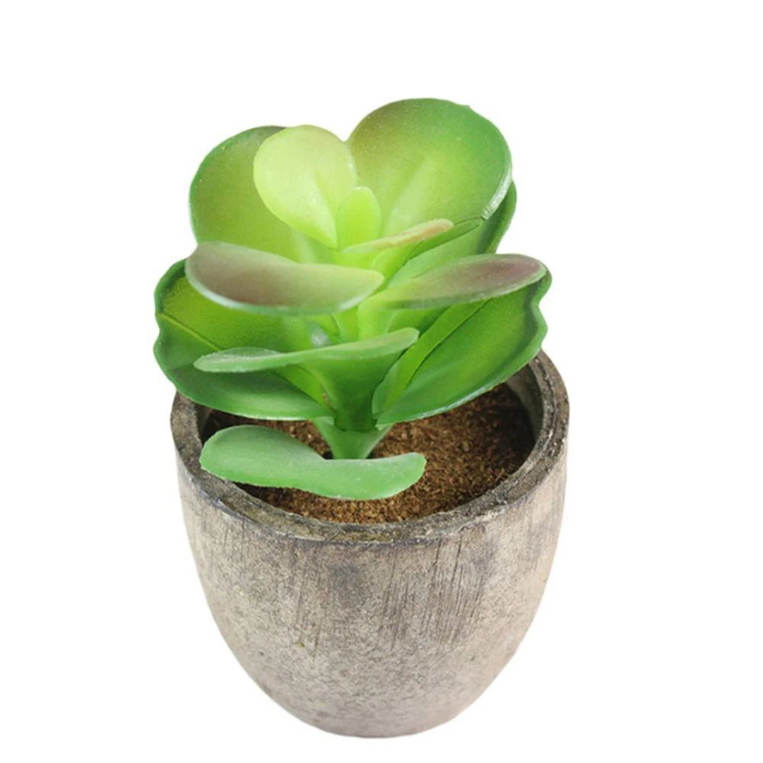 Mayitr Miniature Artificial Succulent Plants Pot Green Creative Fake Cactus for Office Home Garden Table Desk DIY Decoration
Mayitr Miniature Artificial Succulent Plants Pot Green Creative Fake Cactus for Office Home Garden Table Desk DIY Decoration