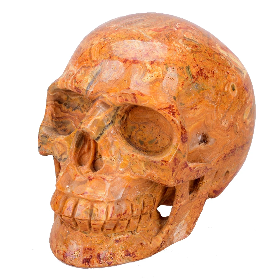 5'' Realistic Crystal Skull Carving Craft Sculpture Natural Yellow Crazy Lace Carved Healing Crystal Skull Statue Home Decor
5'' Realistic Crystal Skull Carving Craft Sculpture Natural Yellow Crazy Lace Carved Healing Crystal Skull Statue Home Decor