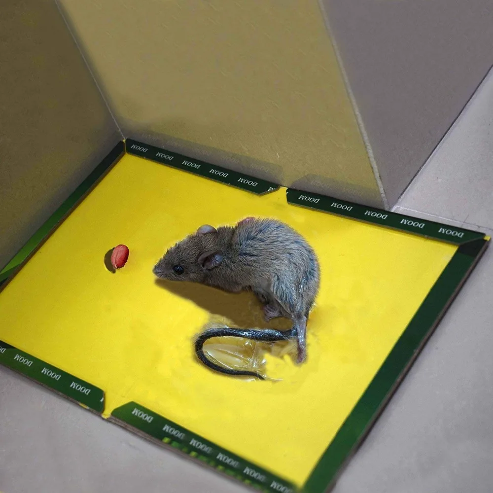 Клей ловушка для мыши 1 шт. липкая доска мышей Высокоэффективная грызунов крыс