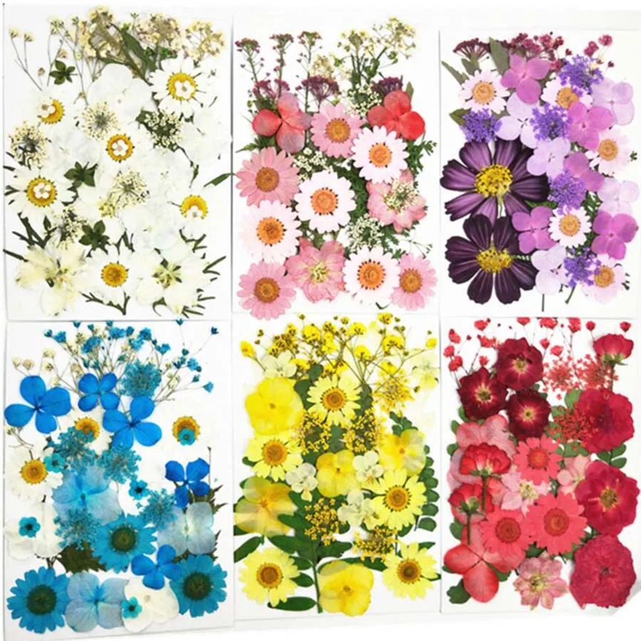 1 Set Assorted Pressed Dried Flower+Leaves Plant Herbarium For Jewelry Postcard Invitation Card Phone Case Bookmark Making DIY
1 Set Assorted Pressed Dried Flower+Leaves Plant Herbarium For Jewelry Postcard Invitation Card Phone Case Bookmark Making DIY