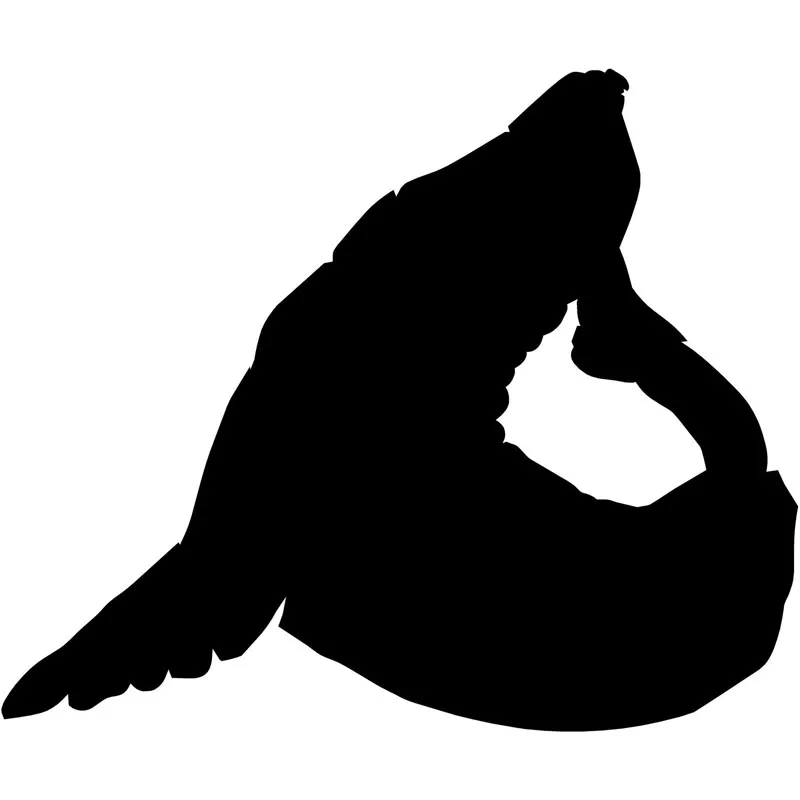 15.5X12.9CM Sea Lion Interesting Car-styling Vinyl Decals Motorcycle Car Stickers Black Silver S6-2091
15.5X12.9CM Sea Lion Interesting Car-styling Vinyl Decals Motorcycle Car Stickers Black Silver S6-2091