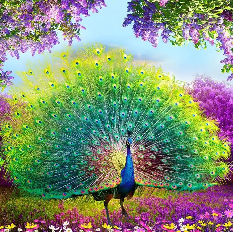 5D Diy full square diamond peacock in the garden home decor embroidery diamond painting Cross stitch diamond Mosaic
5D Diy full square diamond peacock in the garden home decor embroidery diamond painting Cross stitch diamond Mosaic