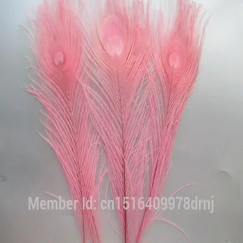 wholesale high quality 100pcs/lot rare pink peacock feather 25-30 cm / 10-12 inch DIY decoration
wholesale high quality 100pcs/lot rare pink peacock feather 25-30 cm / 10-12 inch DIY decoration