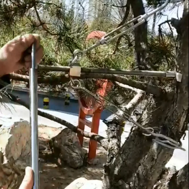 Stainless Steel Pruning Pruner Bending Bonsai Plant Tree Shaping Machine Modeling Garden Tools Diameter Below 10cm
Stainless Steel Pruning Pruner Bending Bonsai Plant Tree Shaping Machine Modeling Garden Tools Diameter Below 10cm