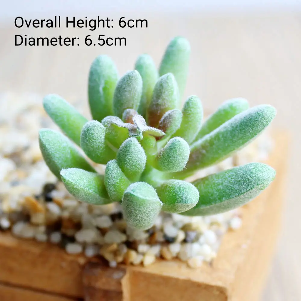 Green Artificial Succulents - Flocking Home Garden Decoration