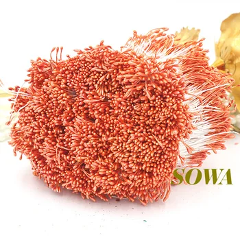 Free shipping 1mm 900pcs/Lot Double Heads Sweet Orange Flower Pearl Stamen Cake Decoration Craft DIY
Free shipping 1mm 900pcs/Lot Double Heads Sweet Orange Flower Pearl Stamen Cake Decoration Craft DIY