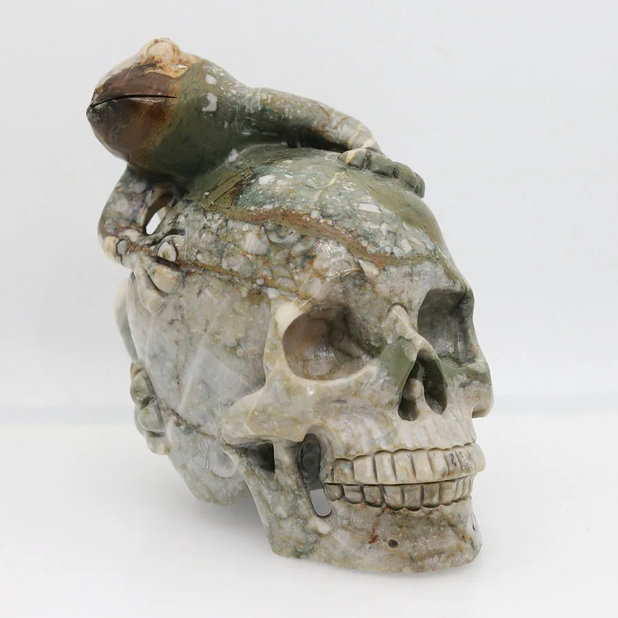 6" 1822g,CRINOID JASPER Carved Frog Crystal Skull Crystal Realistic Crystal Healing Furnishing Articles Figurine AT52
6" 1822g,CRINOID JASPER Carved Frog Crystal Skull Crystal Realistic Crystal Healing Furnishing Articles Figurine AT52