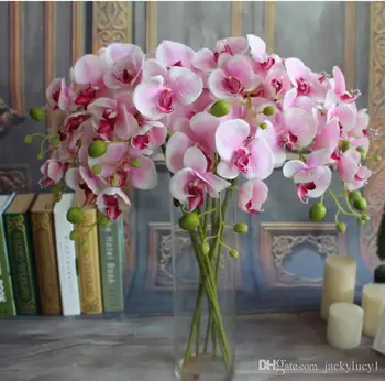 Beautiful 78cm Length Artificial Silk Phalaenopsis Butterfly Orchid Leaf Pot Flower Arrangement For Wedding Birthday Decoration
Beautiful 78cm Length Artificial Silk Phalaenopsis Butterfly Orchid Leaf Pot Flower Arrangement For Wedding Birthday Decoration