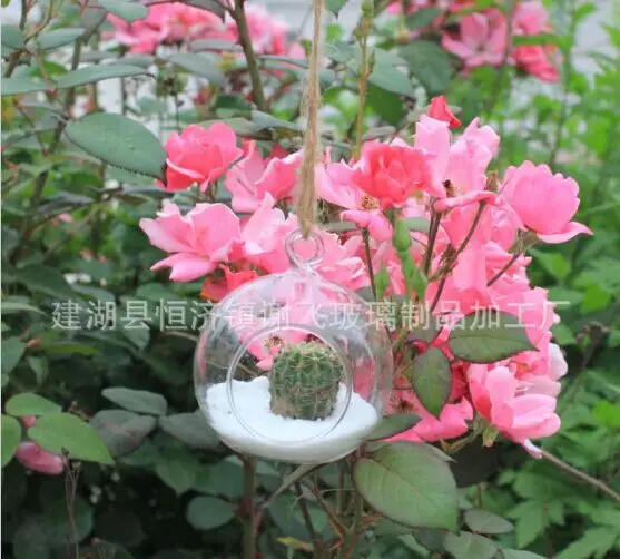 Wholesale Price Transparent Hanging Glass Creative Landscape DIY Vase Wedding Home decoration
Wholesale Price Transparent Hanging Glass Creative Landscape DIY Vase Wedding Home decoration
