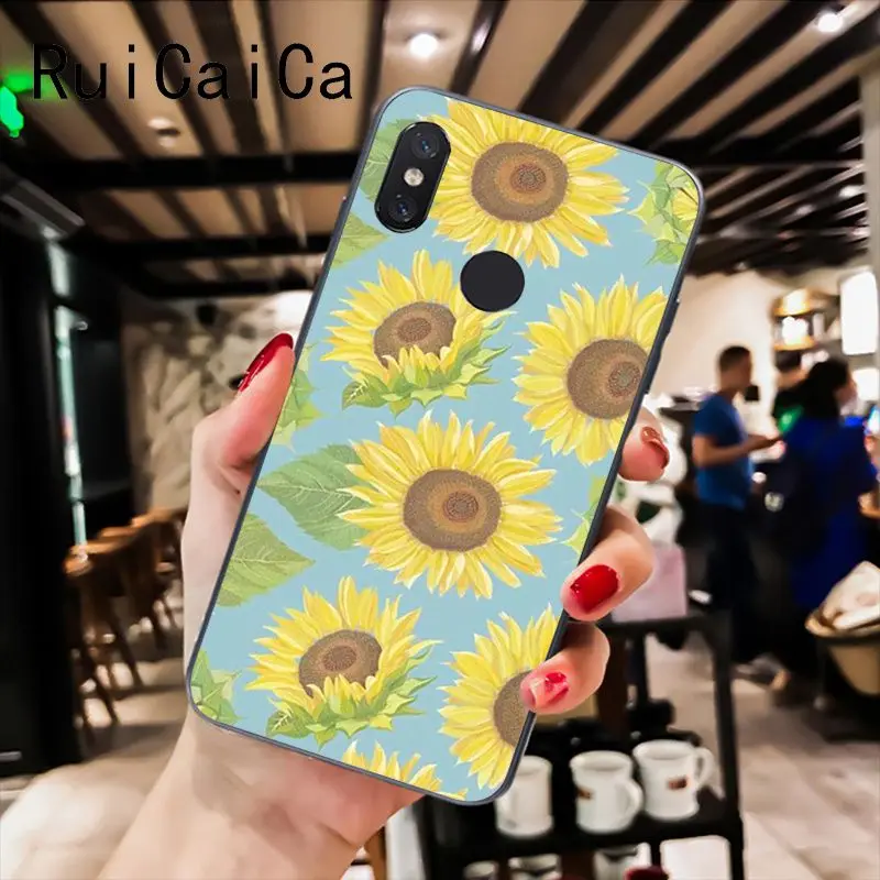 Sunflower Daisy flower