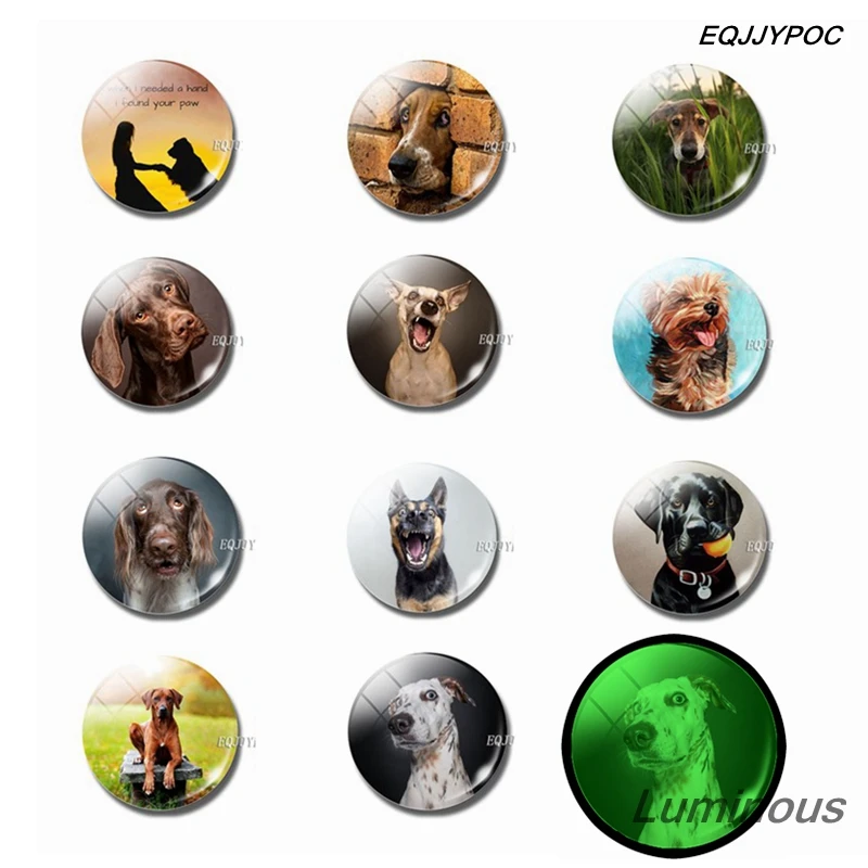 Luminous Lovely Dog Fridge Magnet Set 25 MM Animals Glass Magnetic Refrigerator Magnets Home Decor Puppy Lovers Gift Souvenir
Luminous Lovely Dog Fridge Magnet Set 25 MM Animals Glass Magnetic Refrigerator Magnets Home Decor Puppy Lovers Gift Souvenir