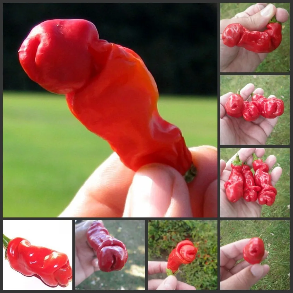 Mercurial Superfly VI 360 Elite KIDS FG ORANGE_44225